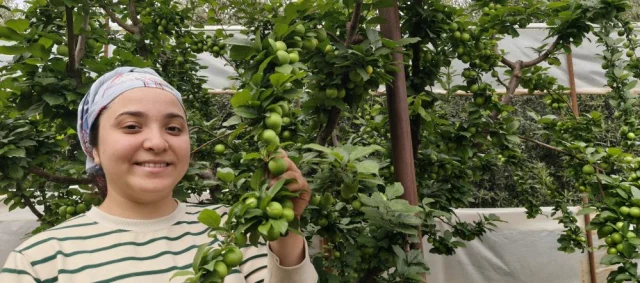 Hasadi Basladi Fiyati 200 Tlye 13E3Cc79E9 8303 3 M