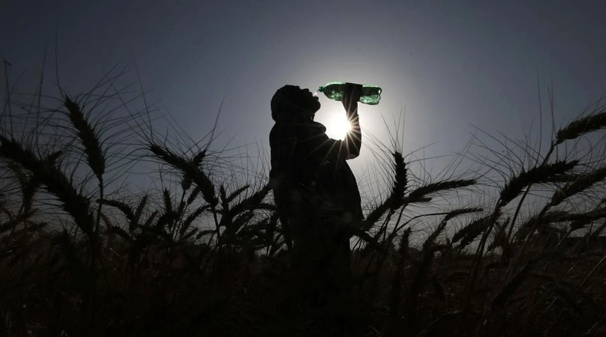 Hindistan Da Sicakliklarin 46 Dereceyi Asmasi 19787068 Amp