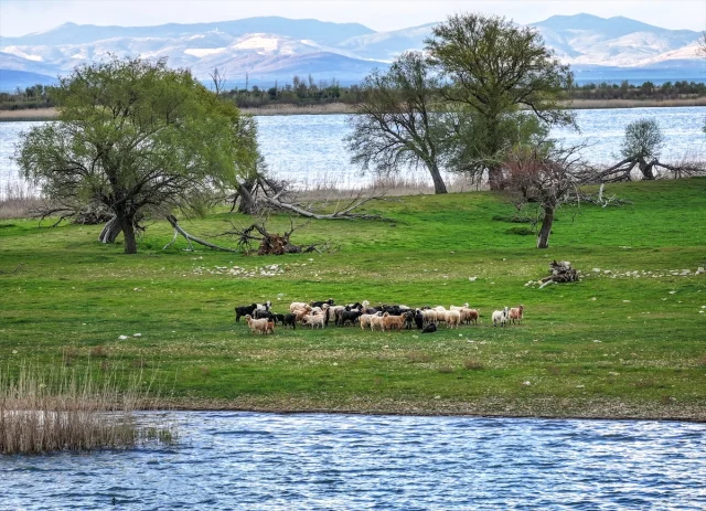 Isvicre Degil Turkiye Uyanik B 9A1F61Aaea 4059 3 M