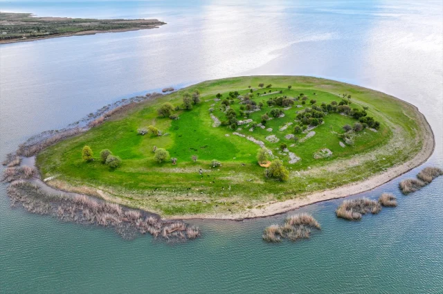 Isvicre Degil Turkiye Uyanik B 9A1F61Aaea 8164 1 M