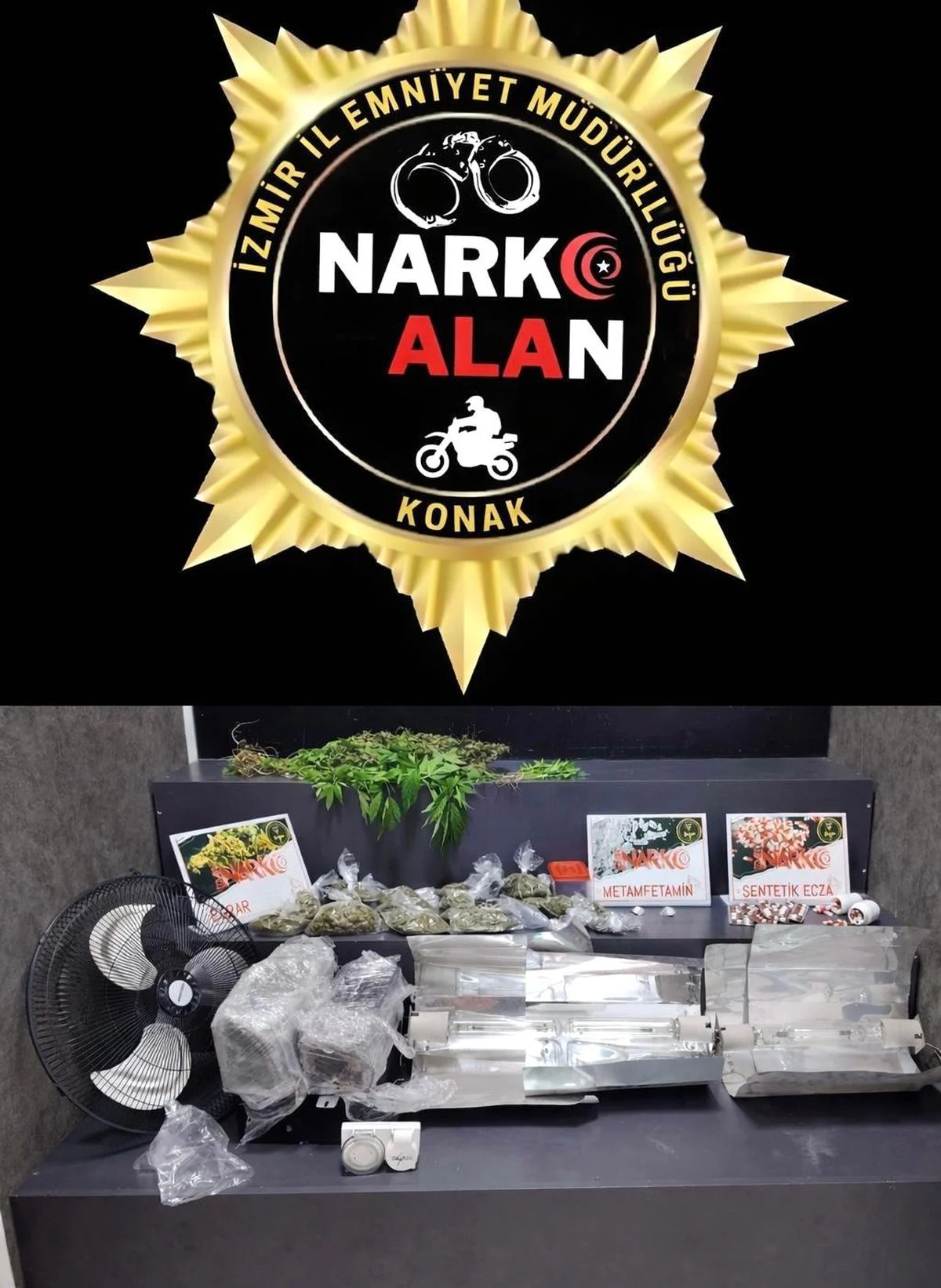 Izmir De Seraya Cevirdigi Evde Kenevir Yetist 19767866 Amp