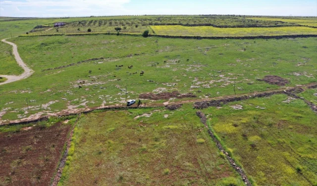 Japonlarin Ve Cinlilerin Gozu 19793168 1276 1 M