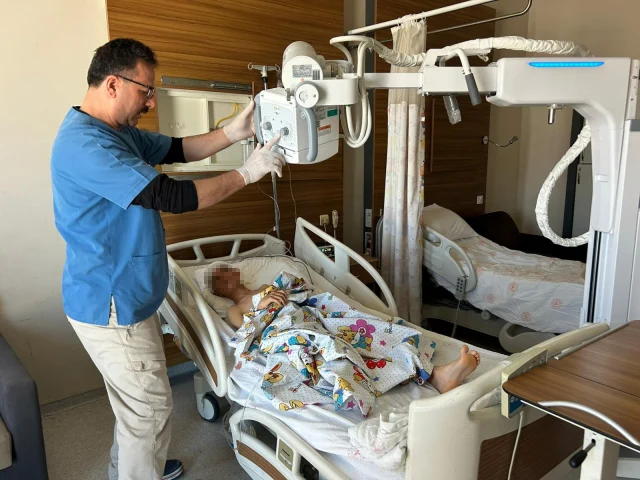 Kopek Dehsetinin Goruntuleri O 19793684 7892 1 M