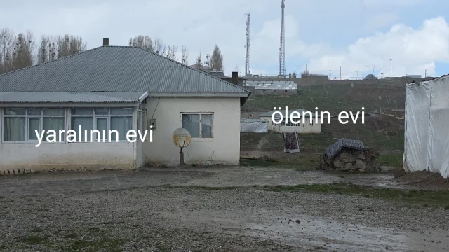 Kopek Dehsetinin Goruntuleri O 19793684 7913 2 M