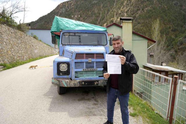 Odunluk Olarak Kullanilan Kamyona Kesilen Kop 19779040 O