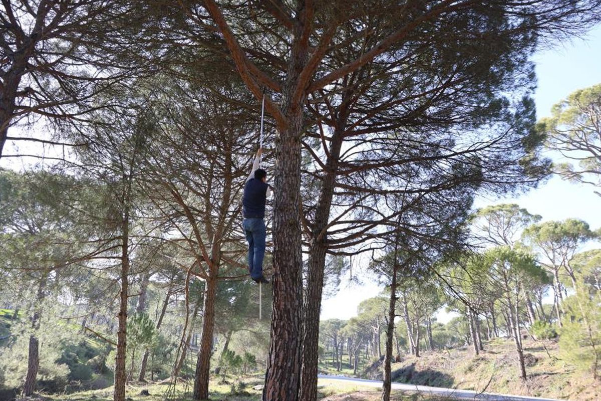 Orumcek Adamlari Is Basinda 642184E576 Amp