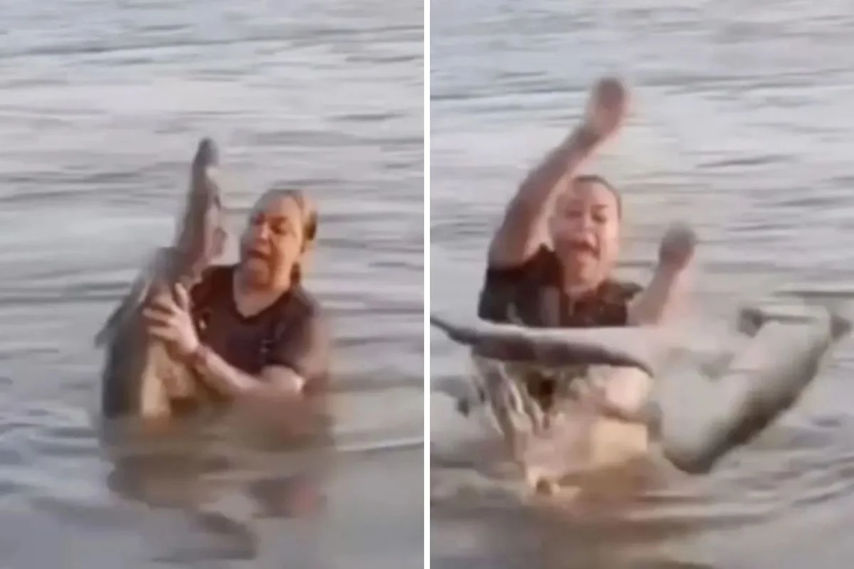 Suda Kutuk Diye Eline Aldi Timsah Cikti Yasadigi B9A59Dd1A8 Amp