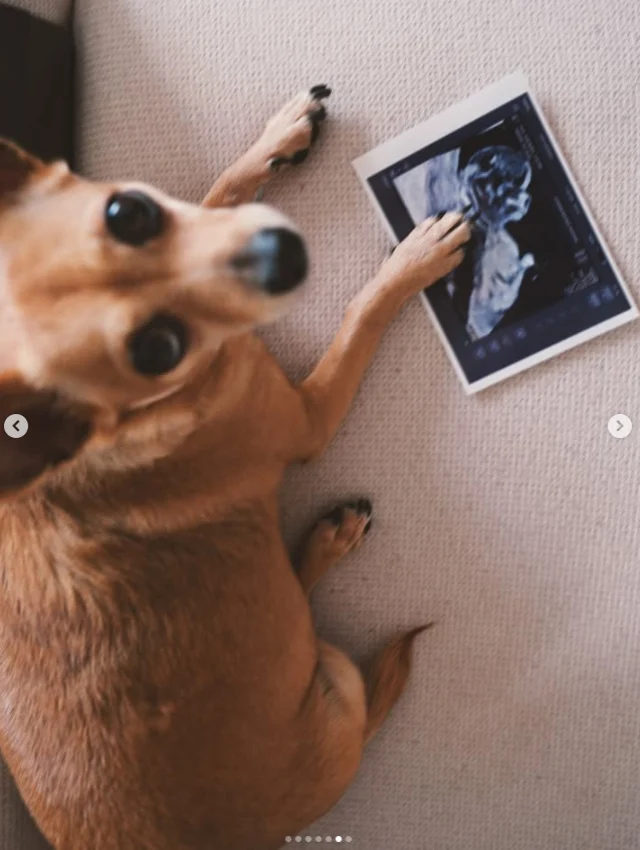 Survivorda Baslayan Ask Simdi 874803A998 7834 2 M