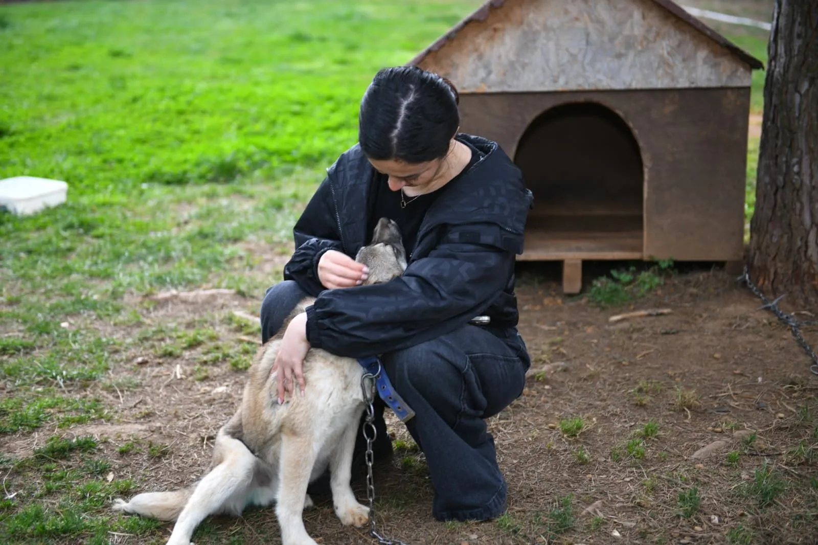 Whatsapp Image 2026 04 04 At 113648 1