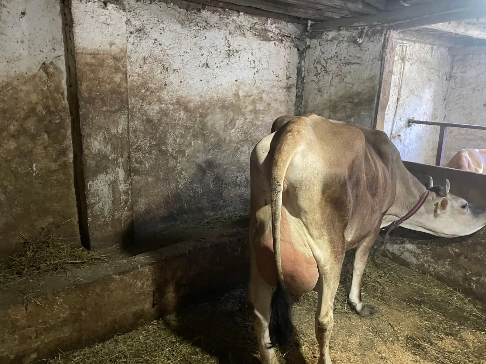 Whatsapp Image 2026 04 14 At 105709 1