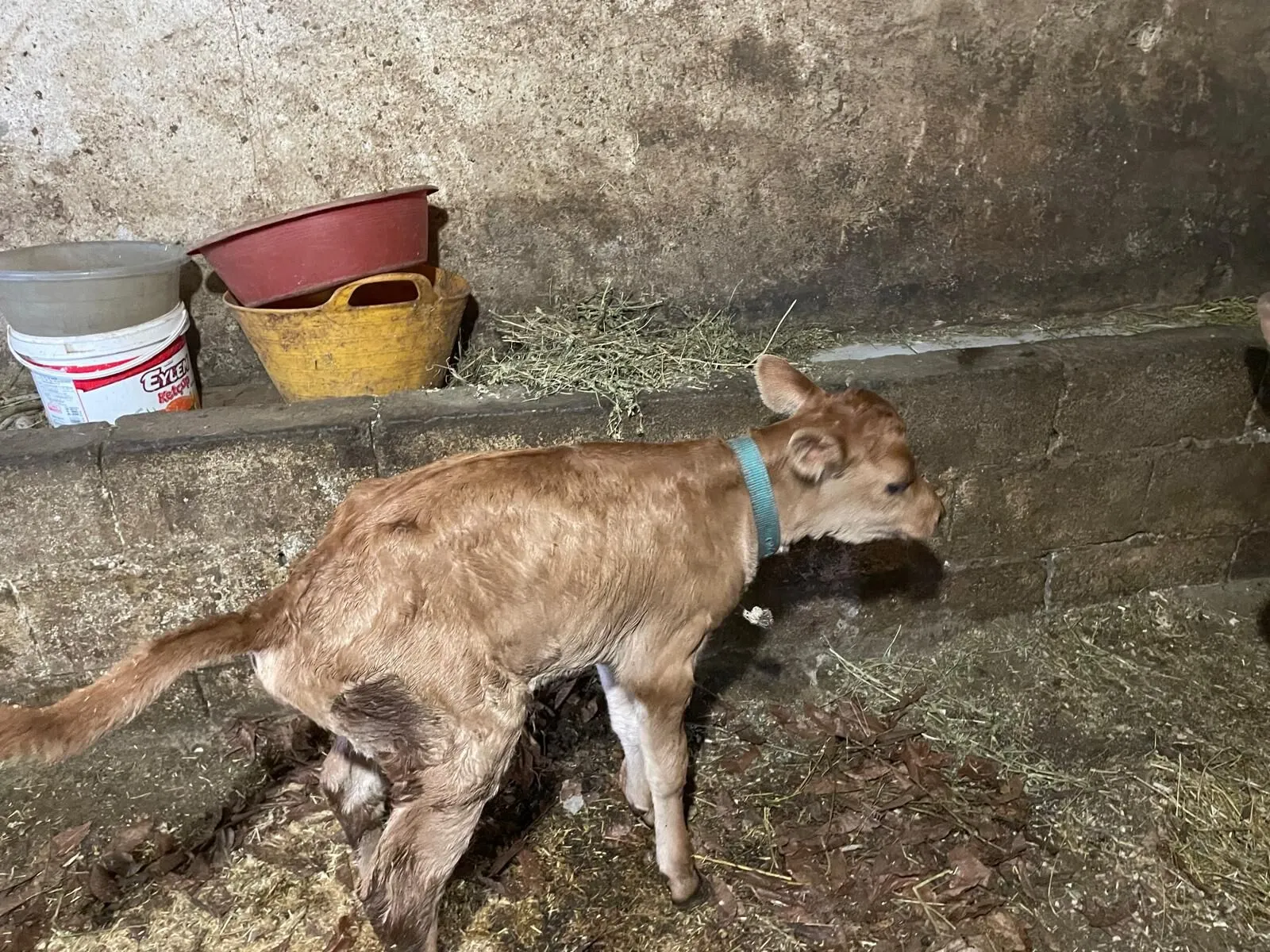 Whatsapp Image 2026 04 14 At 105709 3