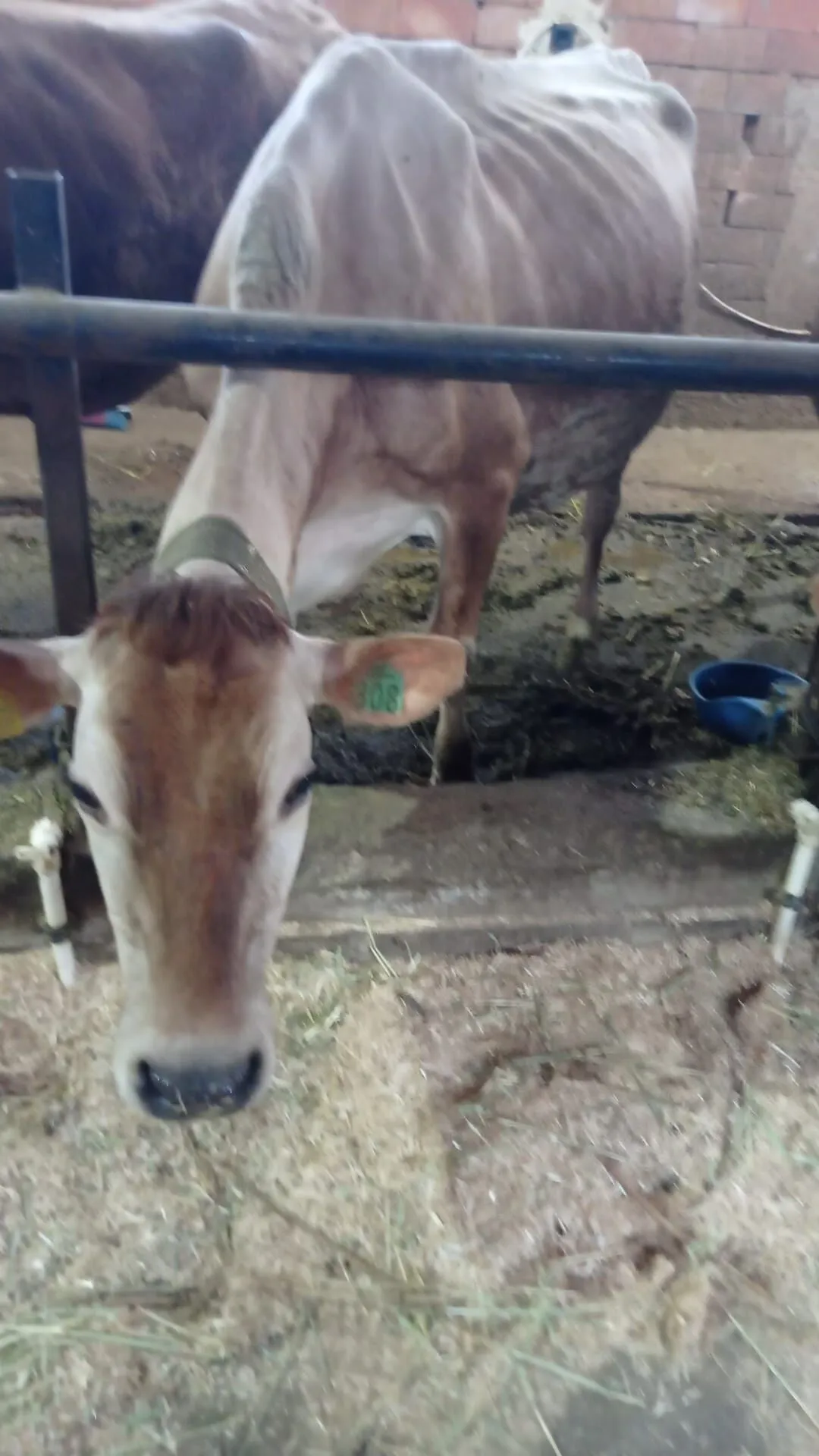 Whatsapp Image 2026 04 14 At 105709