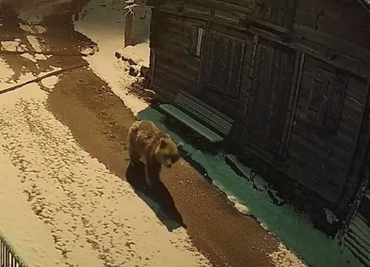 Y A Y L A E V L E R I N E G I R I P M A H A L L E L E R D E D O L A S 1269164 377712