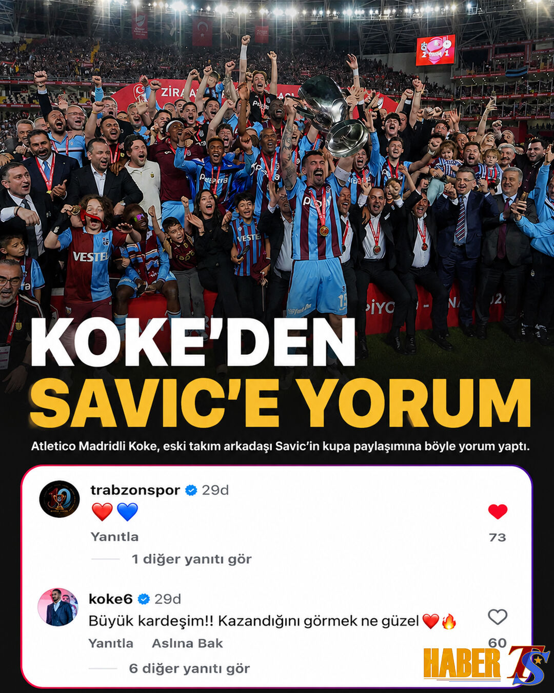 Kokesavic