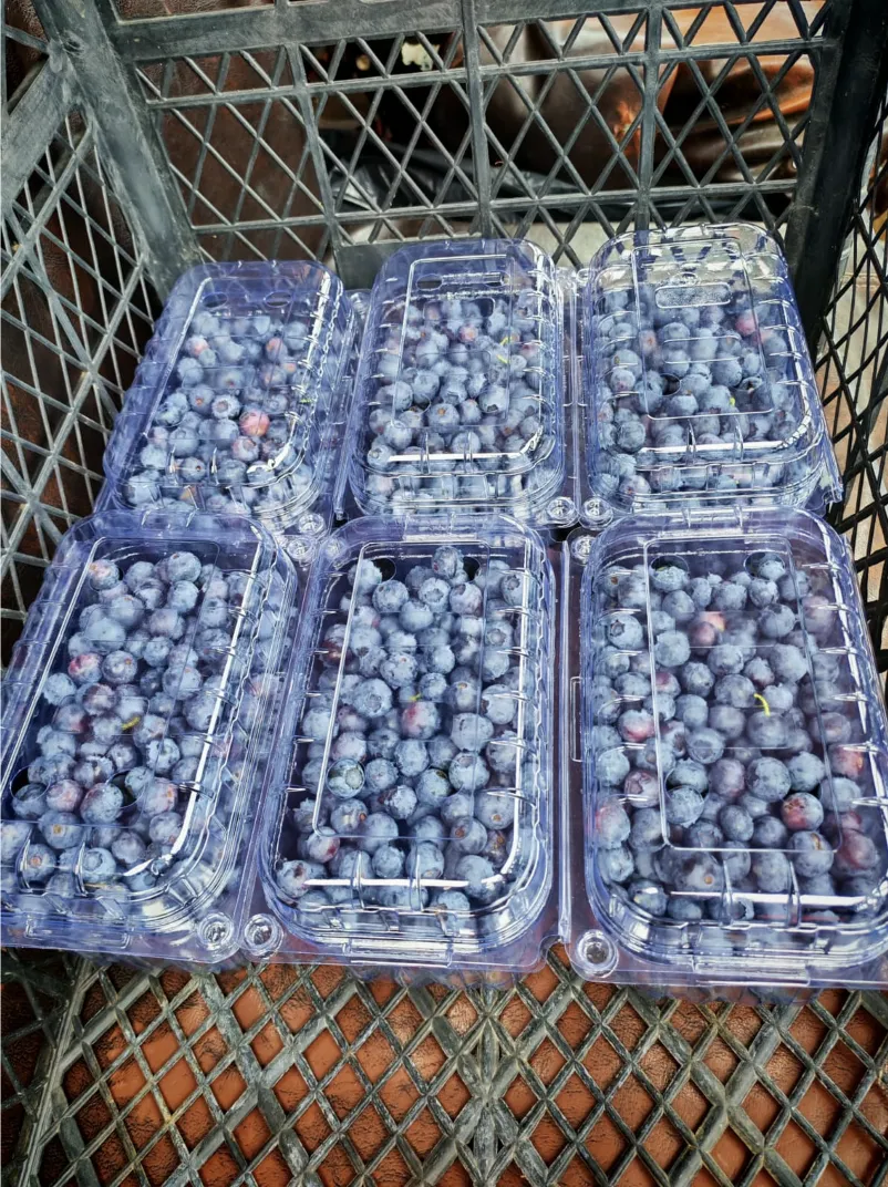Ekran Resmi 2026 06 25 113315