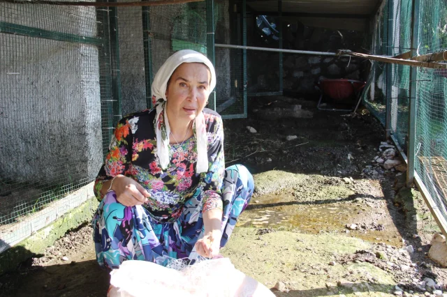 Eski Manken Bilun Dohmen Ozgur 19916666 1535 1 M