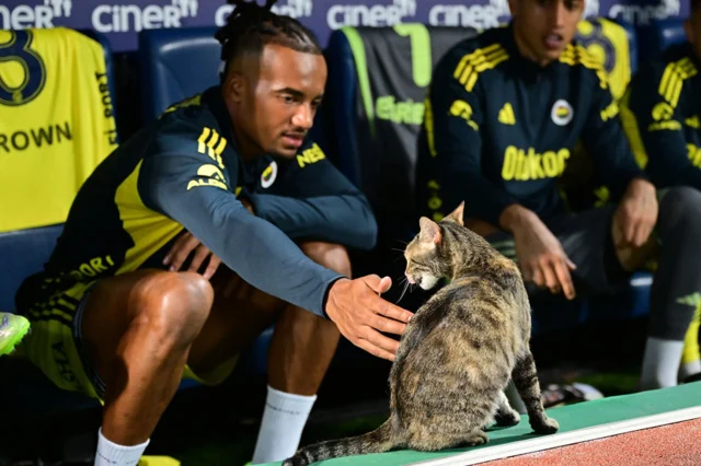 Fenerbahceye 3 Oyuncudan 45 Mi 22645078 3700 1 M