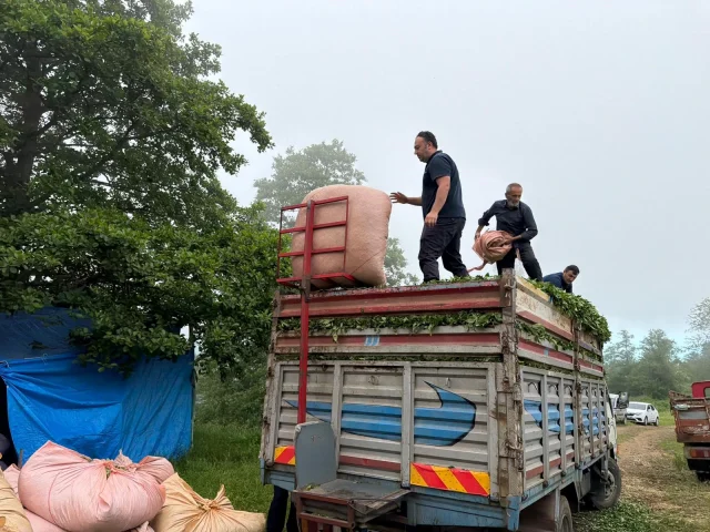 Karadeniz Insani Yine Zekasini 19969944 5354 1 M
