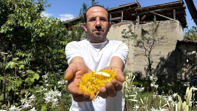 Koruma Altinda Olan Akzambaklardan Elde Edile 5 19957424 O