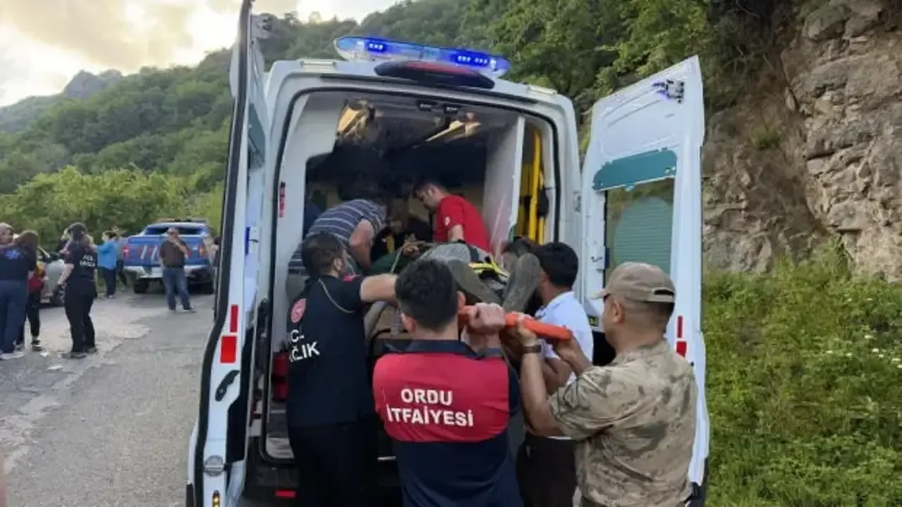 Orduda Yolcu Minibusu Ucuruma Yuvarlandi 9 Yarali 1781025870 9699Jpg