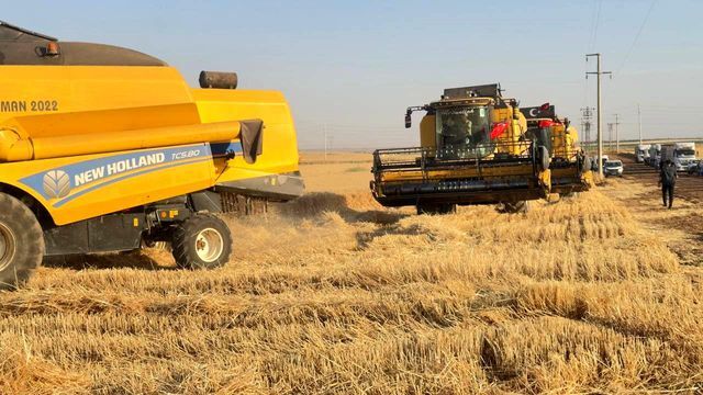 Turkiye Nin En Buyuk Tarim Isletmesinde Hasat 3 19935875 O
