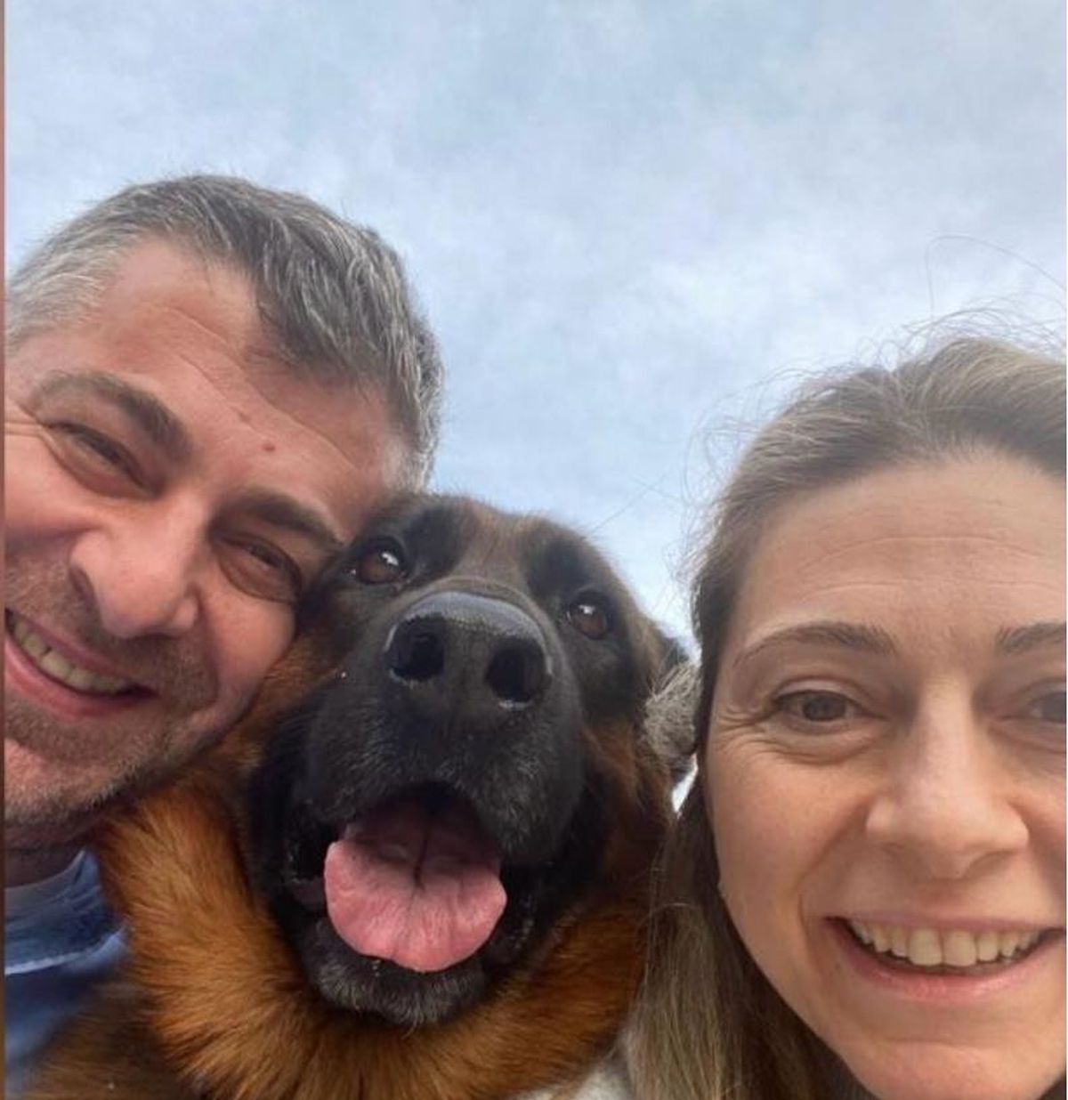 25 Gundur Kayip Olan Kopek Santos U Bulana 10 20029771 Amp