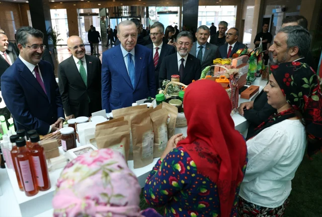 Cumhurbaskani Erdogan Kadin Ve 20016212 1486 1 M