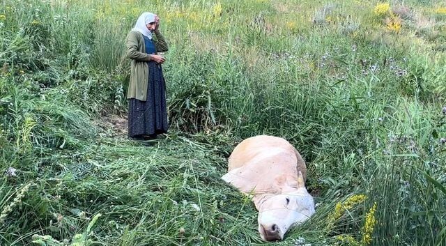 Yuksekova Da Yurek Yakan Goruntu Ucurumdan Du 9 20078846 O