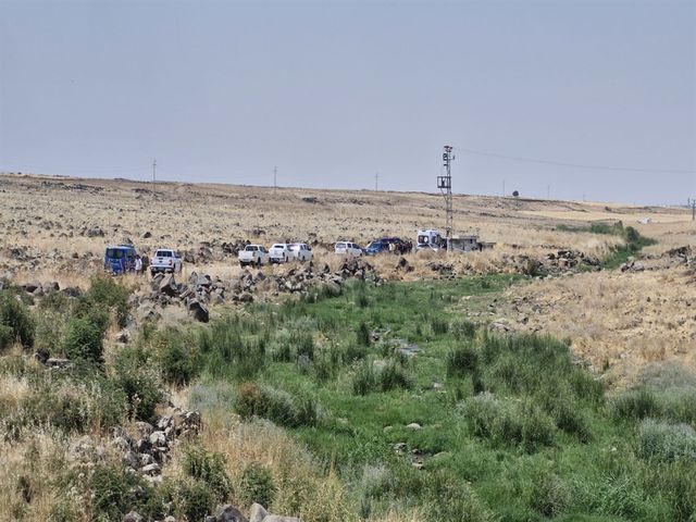 Arazide Cesedi Bulunan Gulistan In Olumune Il 5 20136099 O