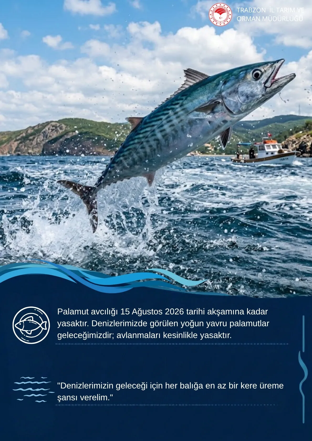 Palamut Yasağı