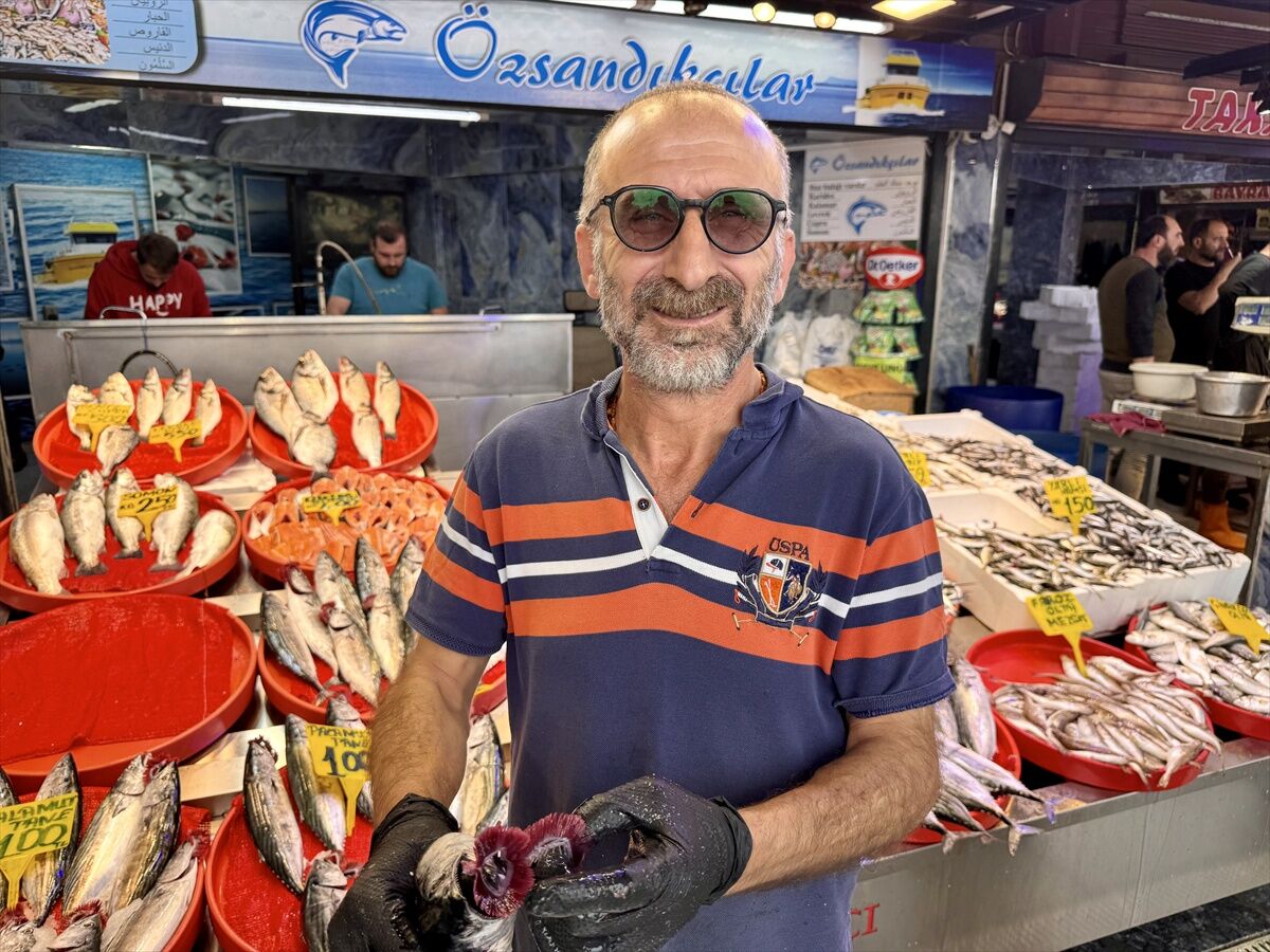 Trabzon Ortahisar Da Balikci Tezgahlarinda Pa 20277834 Amp