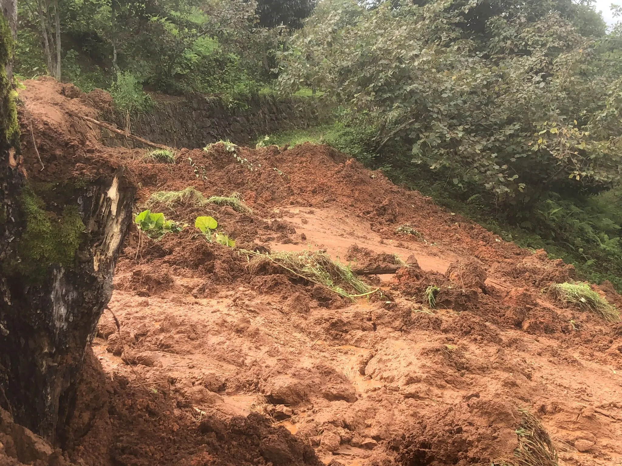Trabzon Toprak Kayması2