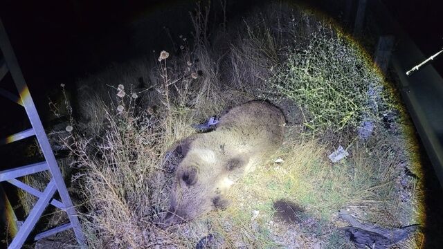 Tunceli Erzincan Yolunun 15 Inci Kilometresin 4 20295588 O