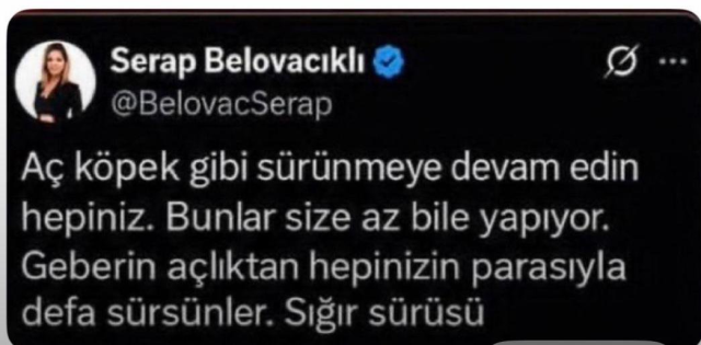 Unlu Spiker Serap Belovacikli 20325057 9279 1 M